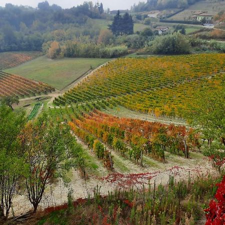 La Giribaldina Winery & Farmhouse Calamandrana Kültér fotó