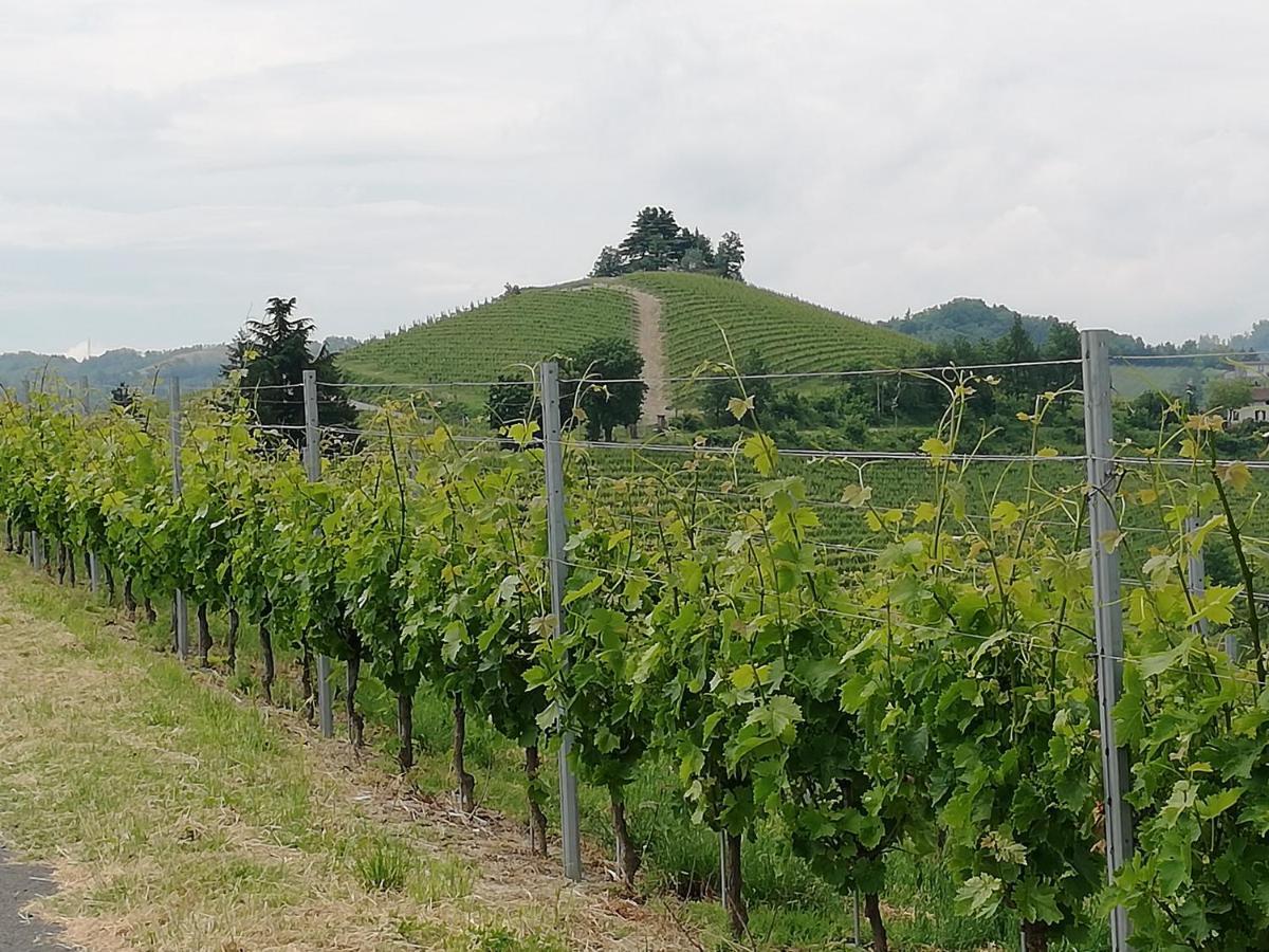 La Giribaldina Winery & Farmhouse Calamandrana Kültér fotó