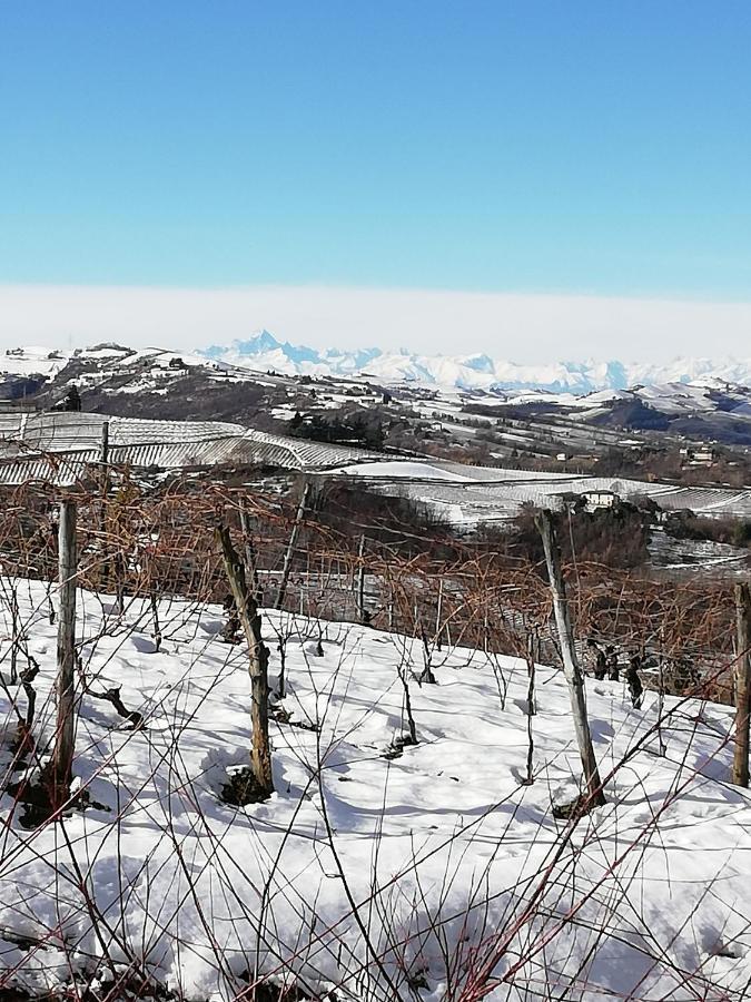La Giribaldina Winery & Farmhouse Calamandrana Kültér fotó