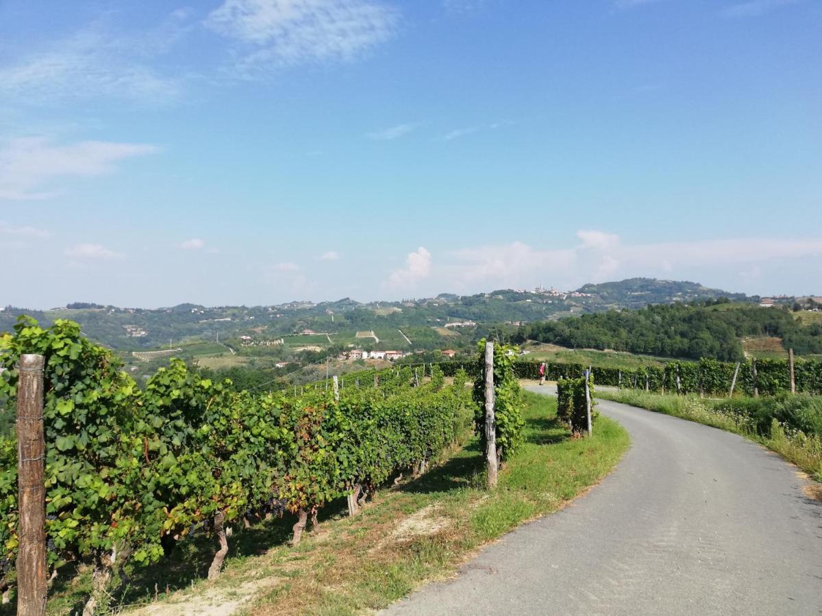 La Giribaldina Winery & Farmhouse Calamandrana Kültér fotó