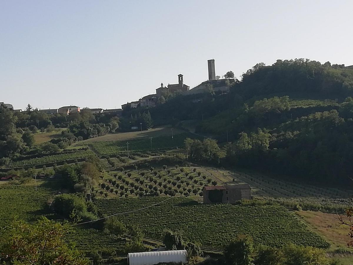 La Giribaldina Winery & Farmhouse Calamandrana Kültér fotó