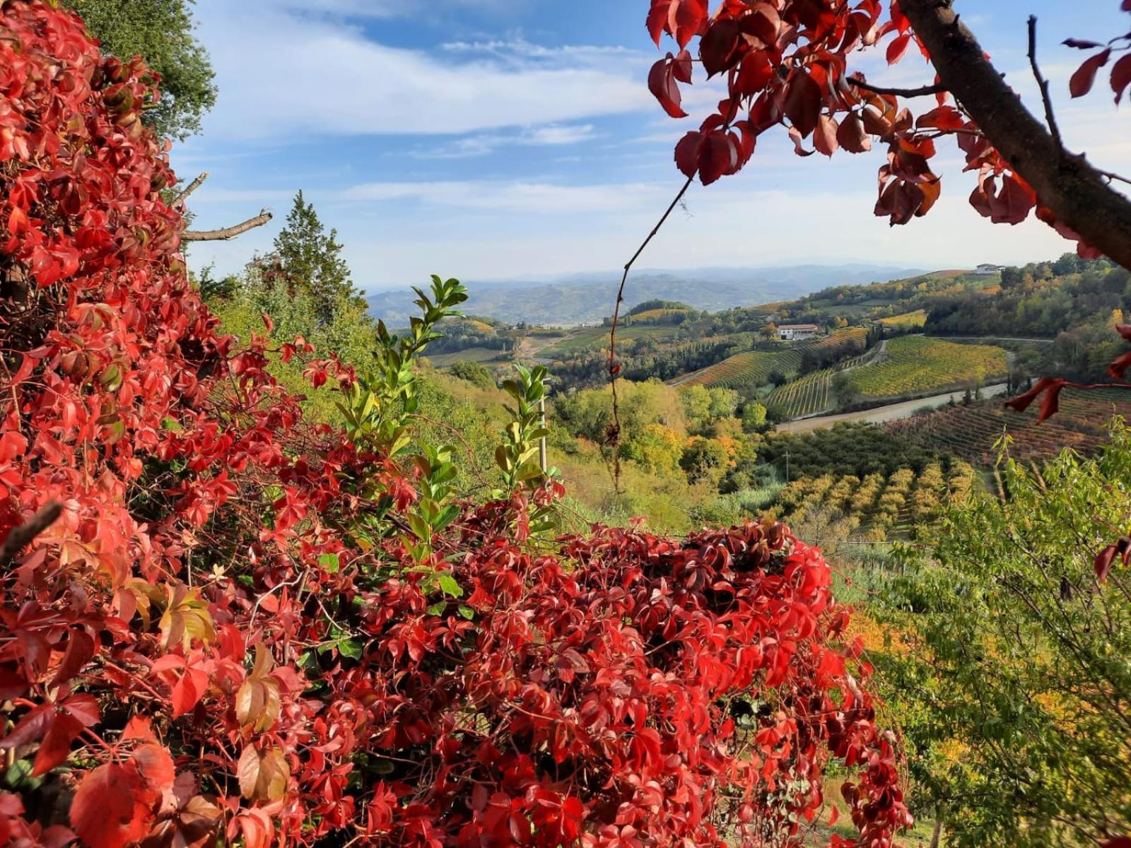 La Giribaldina Winery & Farmhouse Calamandrana Kültér fotó