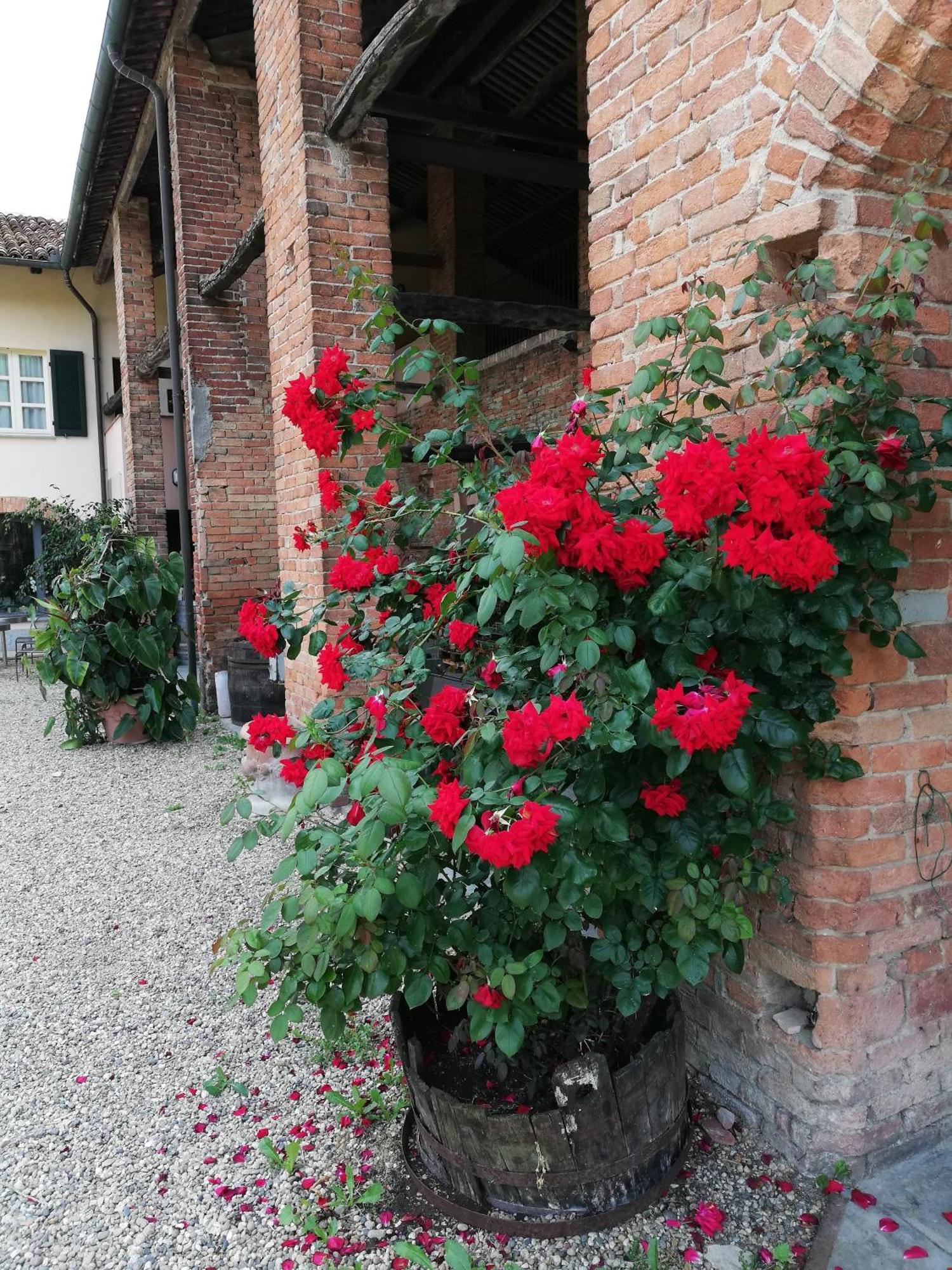 La Giribaldina Winery & Farmhouse Calamandrana Kültér fotó