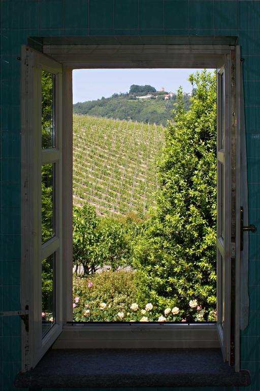 La Giribaldina Winery & Farmhouse Calamandrana Szoba fotó